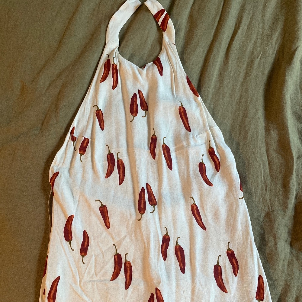 Reformation Avielle Japaleno dress